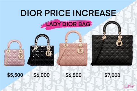 dior handbag price australia|how expensive is dior.